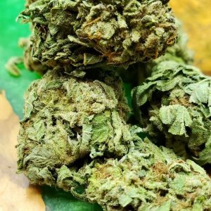 Cali Kush Indica Cannabis