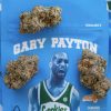 GARY PAYTON - Image 3